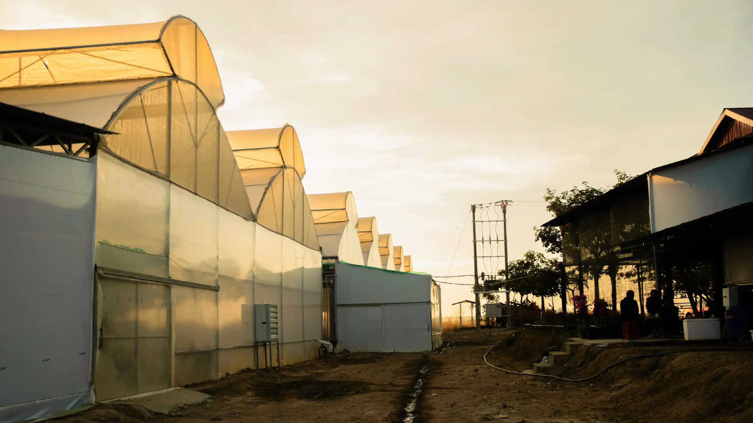 DannyGreen Phu Thien Farm - Gia Lai