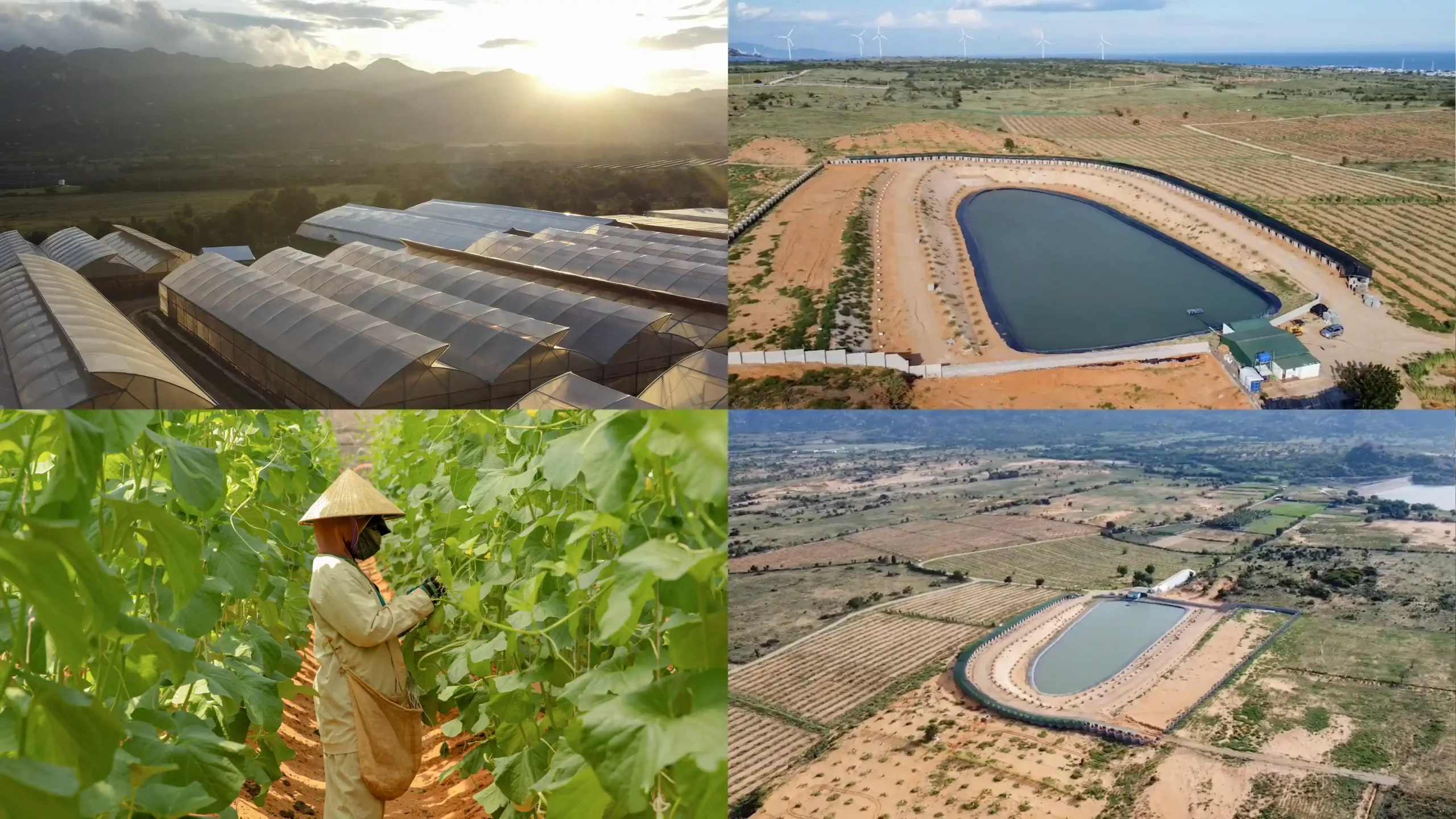 Nông Trại Hữu Cơ DannyGreen Sơn Hải - Ninh Thuận