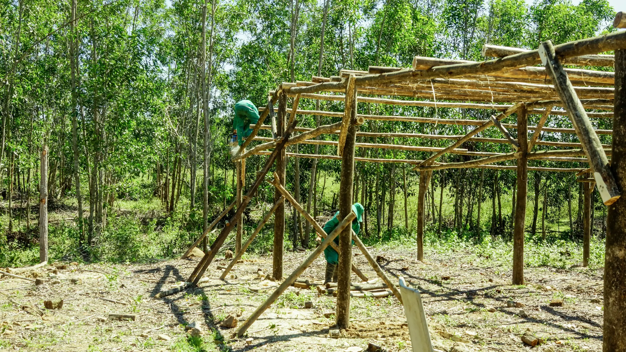 DannyGreen Don Duong Forest Farm - Lam Dong