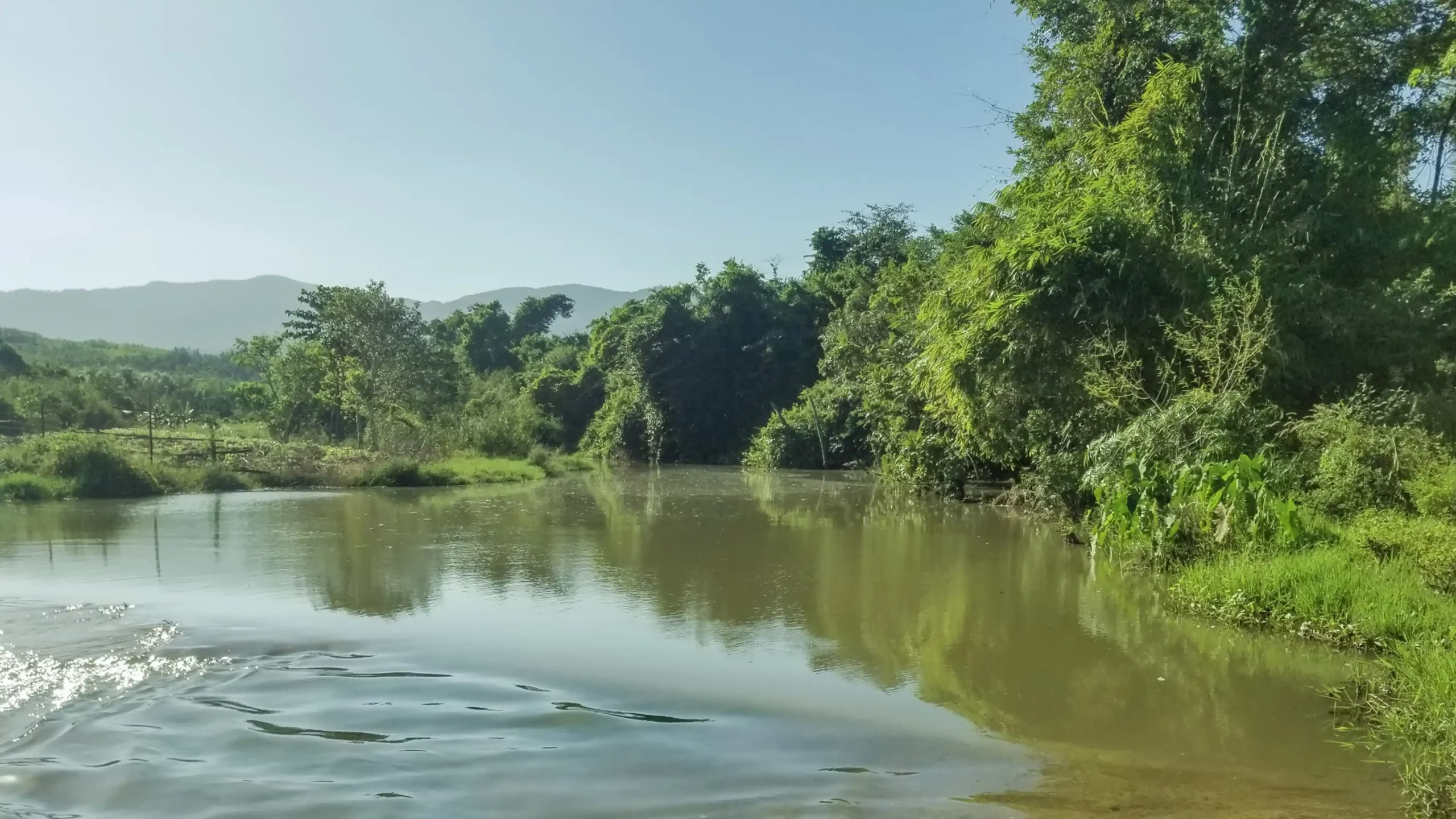 DannyGreen Don Duong Forest Farm - Lam Dong